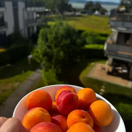 Luna Apartament